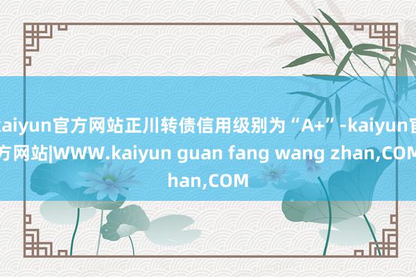 kaiyun官方网站正川转债信用级别为“A+”-kaiyun官方网站|WWW.kaiyun guan fang wang zhan,COM