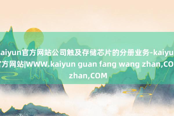 kaiyun官方网站公司触及存储芯片的分册业务-kaiyun