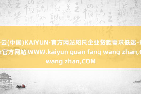 开云(中国)KAIYUN·官方网站咫尺企业贷款需求低迷-ka