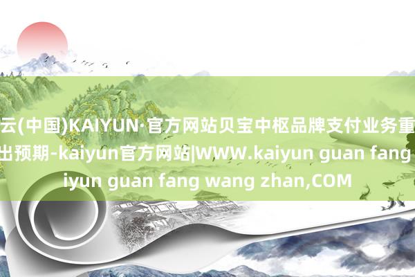 开云(中国)KAIYUN·官方网站贝宝中枢品牌支付业务重振增